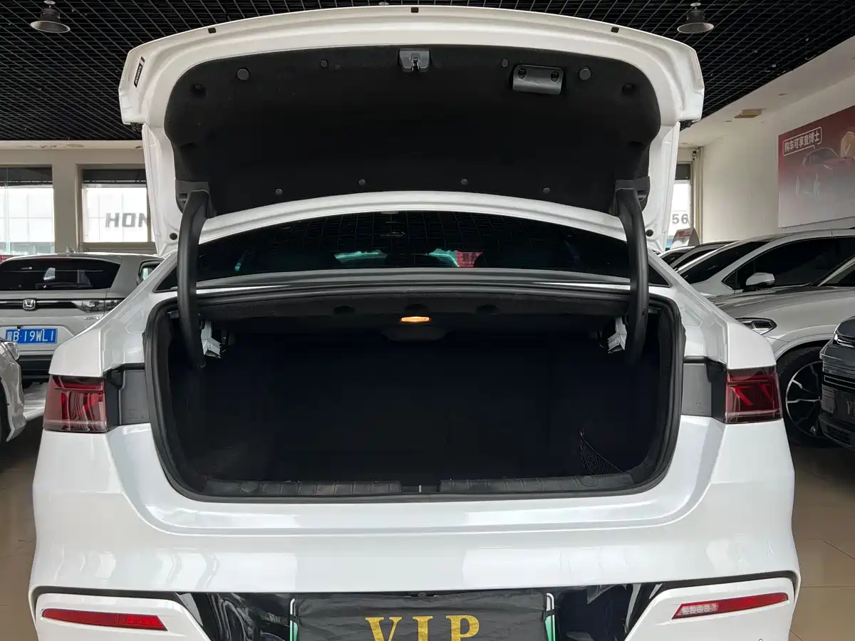 BYD Qin PLUS 2021 DM-i 55KM Flagship фото 6