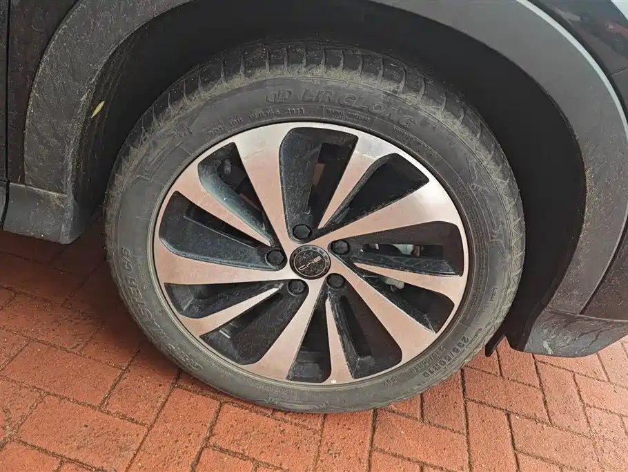 BYD Song PLUS PHEV 2023 Champion Edition DM-i 110KM Flagship фото 6