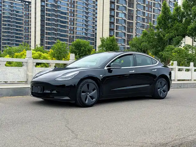 Tesla Model 3 2020 Standard Range Rear-Wheel Drive Upgrade