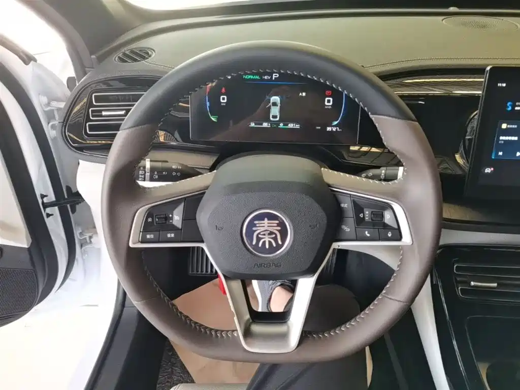 BYD Qin PLUS 2024 Glory Edition DM-i 55KM Leading фото 11