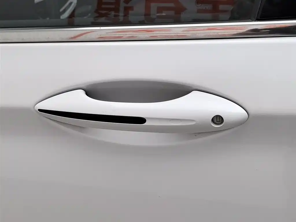 GEELY AUTOMOBILE BORUI