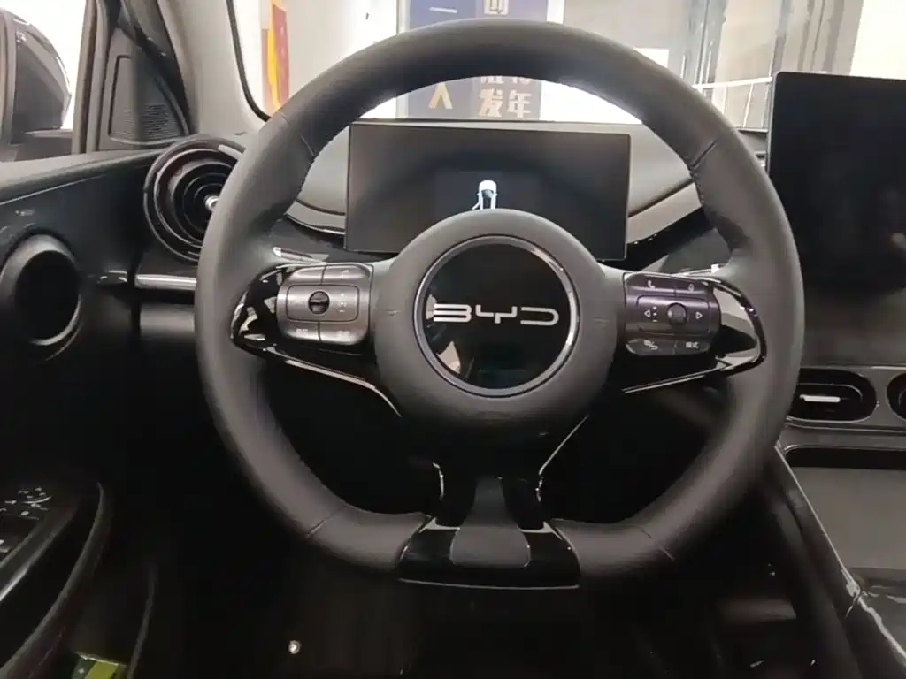 BYD e2 2024 2023 Comfort Model