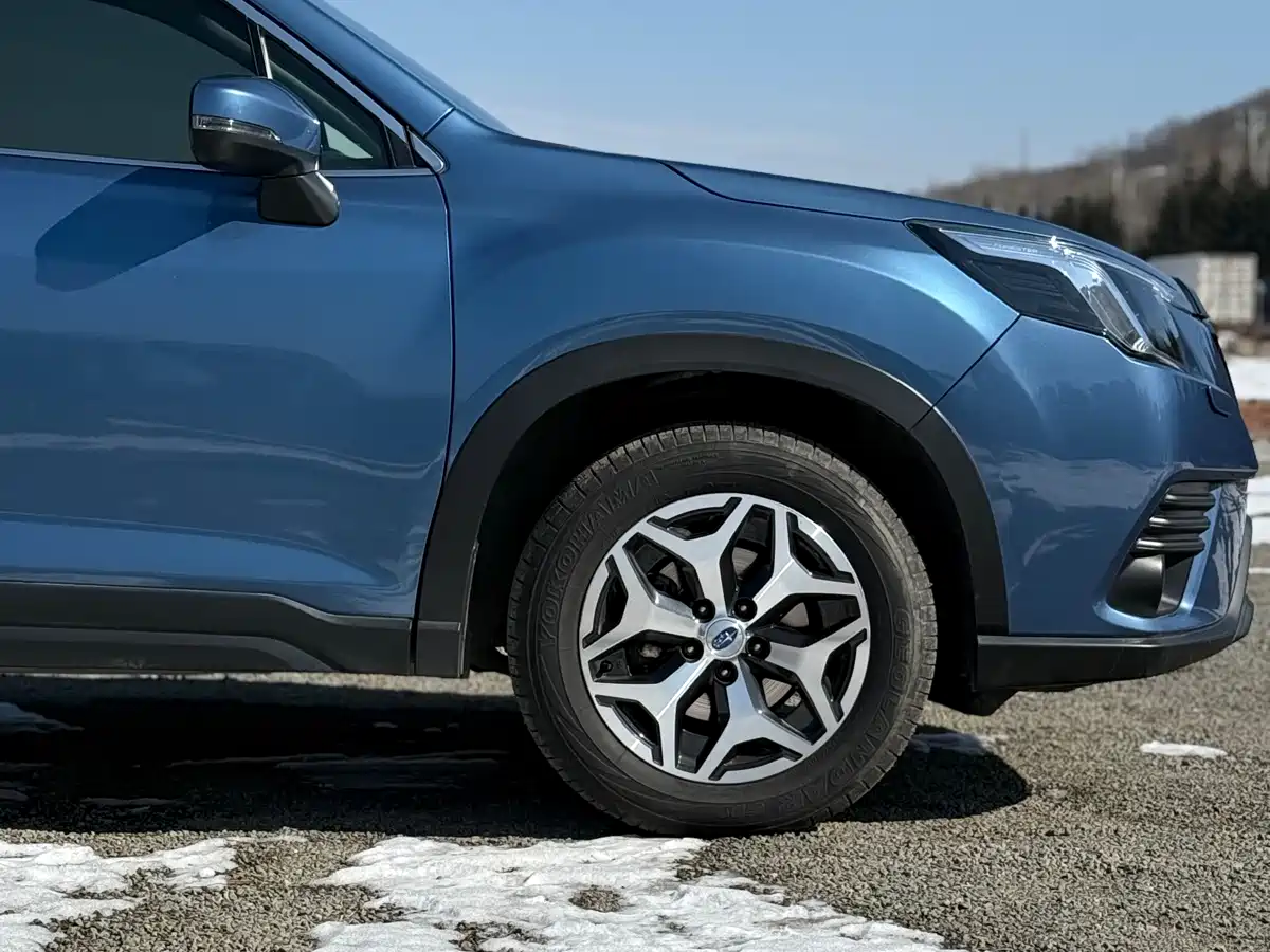 Subaru Forester 2022 2.0i AWD Luxury Edition фото 29