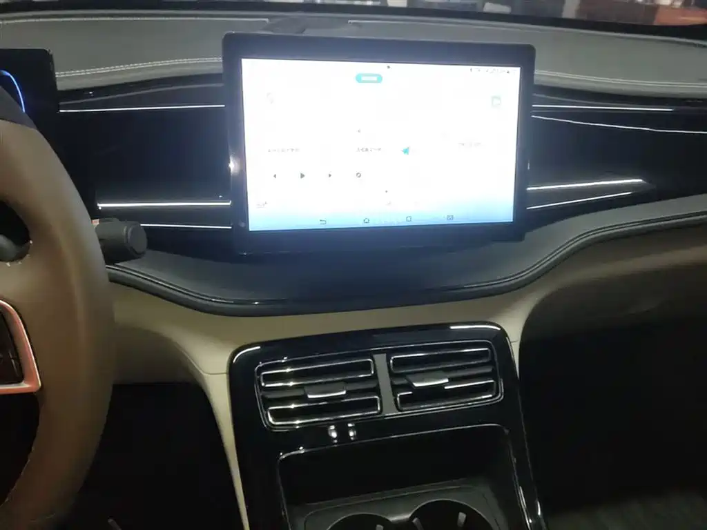 BYD Qin PLUS 2024 Glory Edition DM-i 55KM Leading фото 13