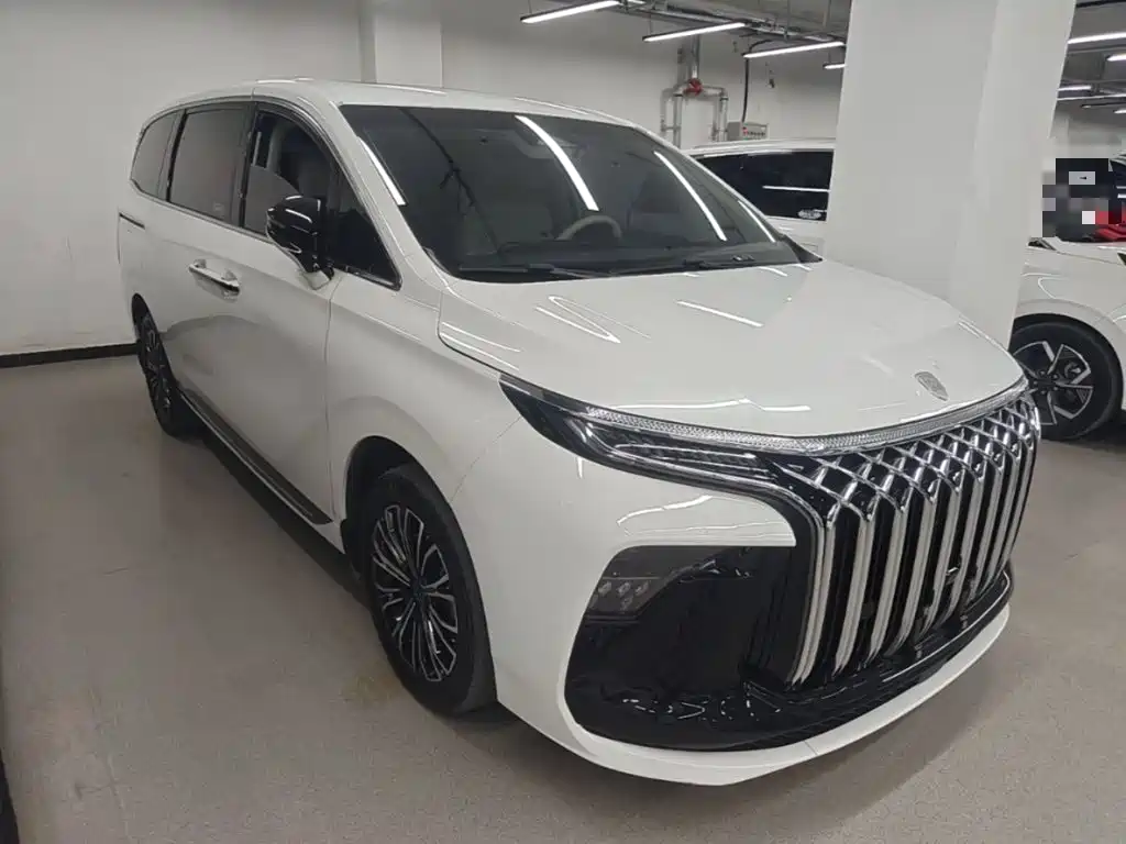 Dongfeng Fengxing Starlight V9 2024 2024 1.5TD 200km Chinese Knot Series Exclusive