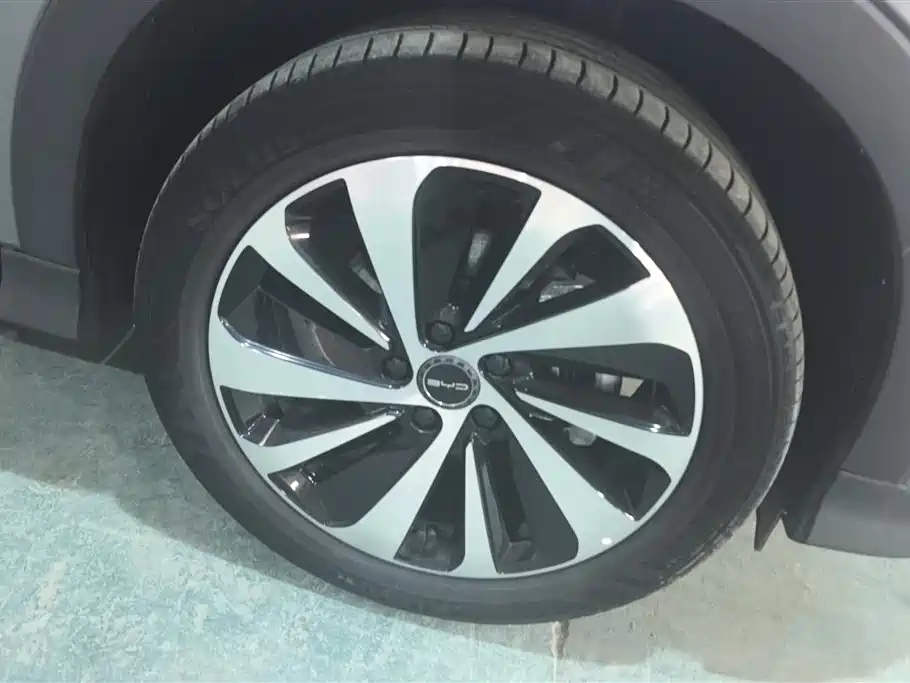BYD Song PLUS PHEV 2023 Champion Edition DM-i 110KM Flagship фото 6