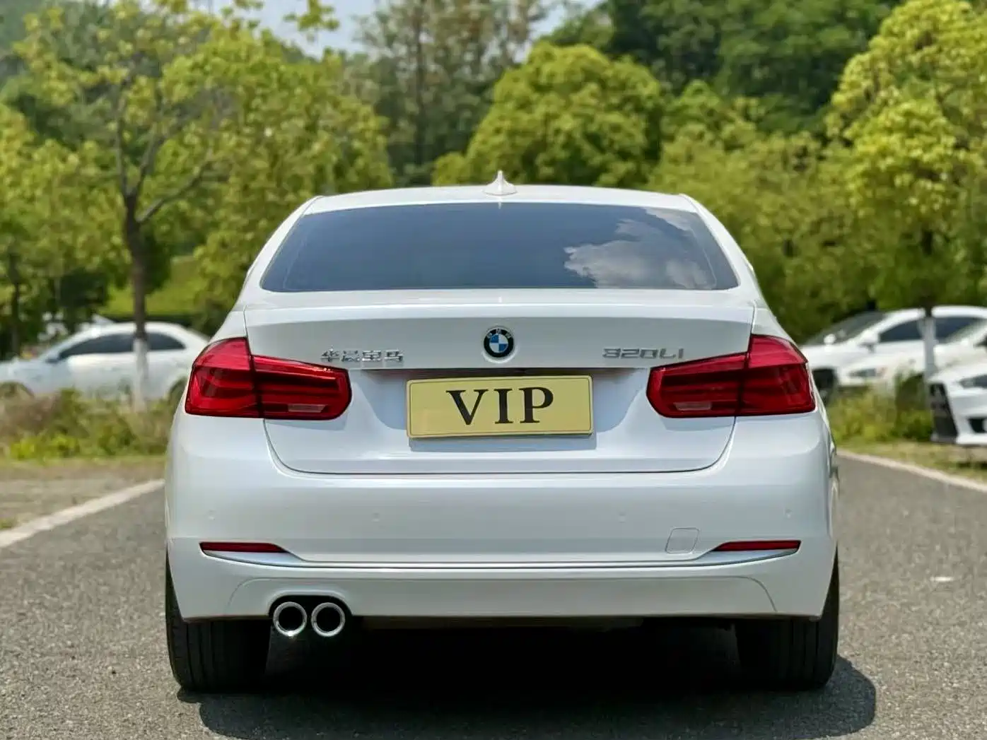 BMW 3 Series 2019 320Li Fashion Type фото 5