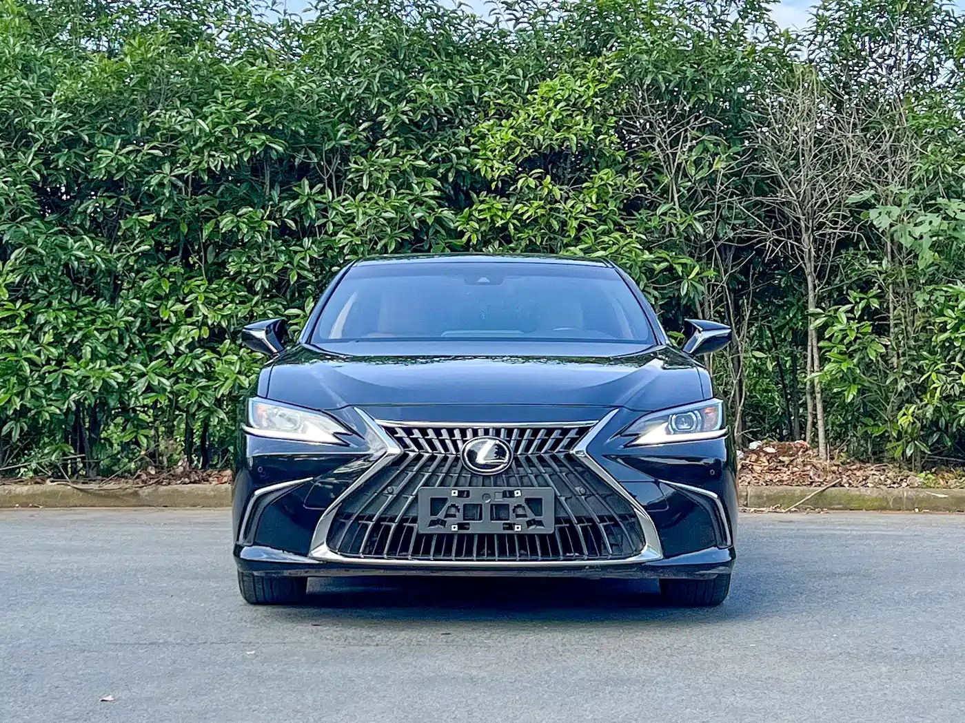 Lexus ES 2022 200 Excellence Edition фото 2