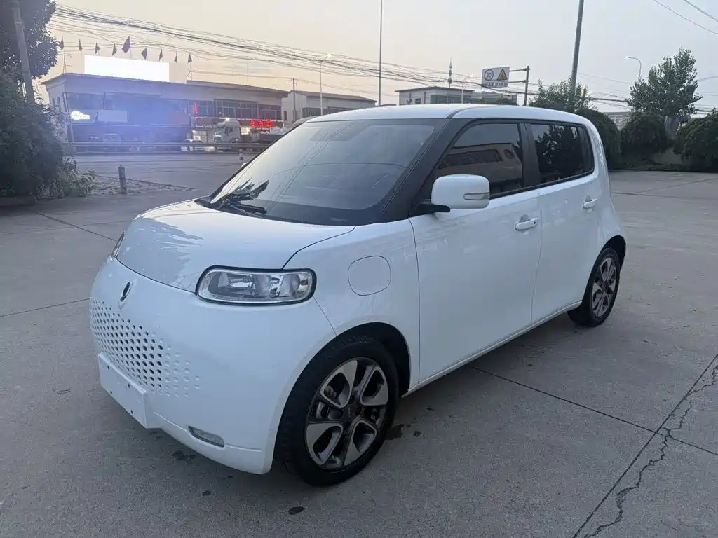 Ora White Cat 2021 2020 305km Luxury