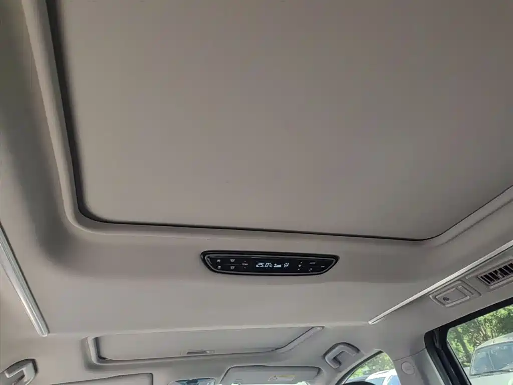 GAC Trumpchi Trumpchi M8 2020 Pilot 390T Prestige Edition фото 18