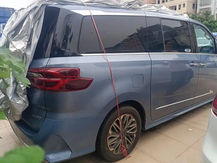 SAIC MAXUS CHASE G20