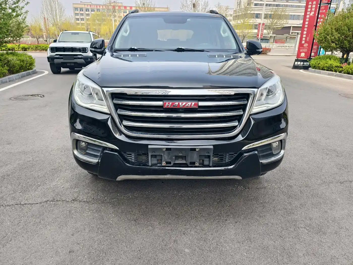 HAVAL H9
