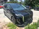 صورة 22 - Hongqi HQ9