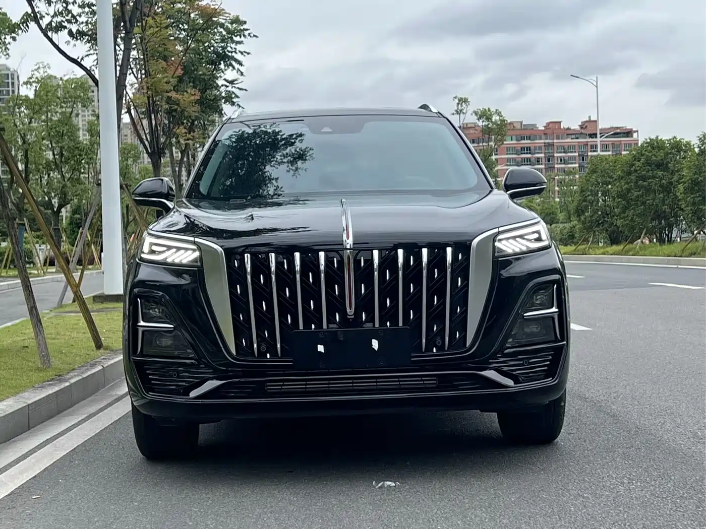 Hongqi HS5 2023 2.0T Flag Enjoy Pro Edition фото 3