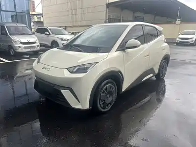 BYD Seagull