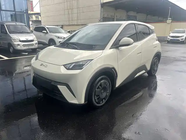 BYD Seagull Слава, 305km, Энергия