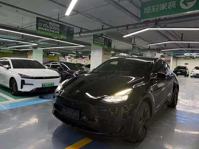 Tesla Model Y 2022 Rear-Wheel Drive Version