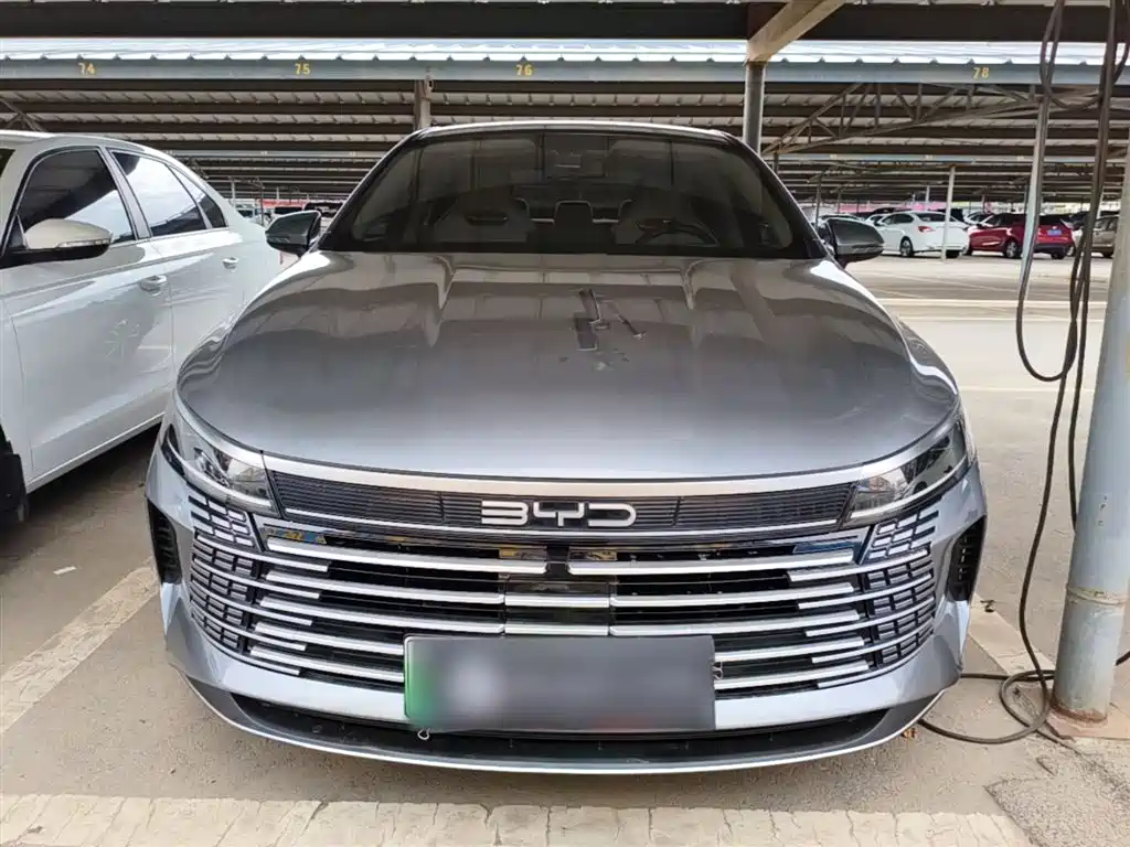 BYD Destroyer 05 2024 Glory Edition DM-i 55KM Luxury фото 3