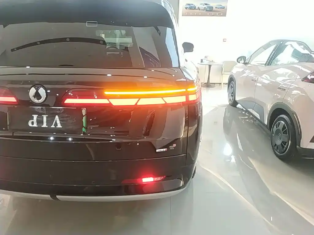 Denza N9 2025 2025 Flagship Model