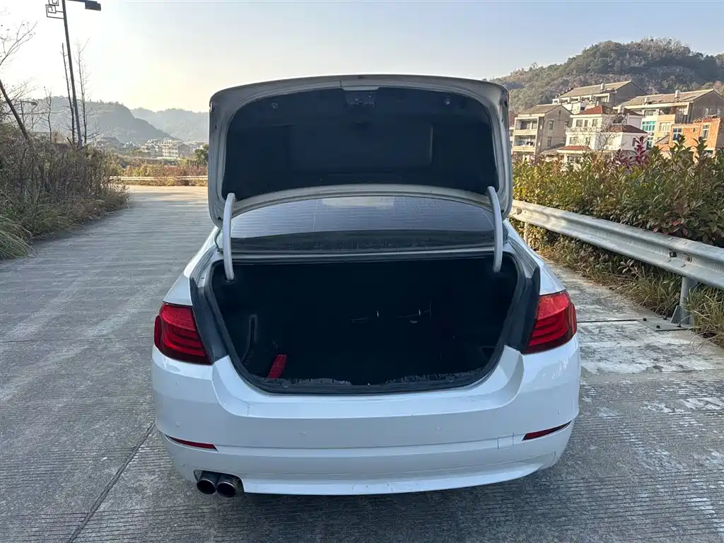 BMW 5 Series 2012 523Li Luxury фото 22