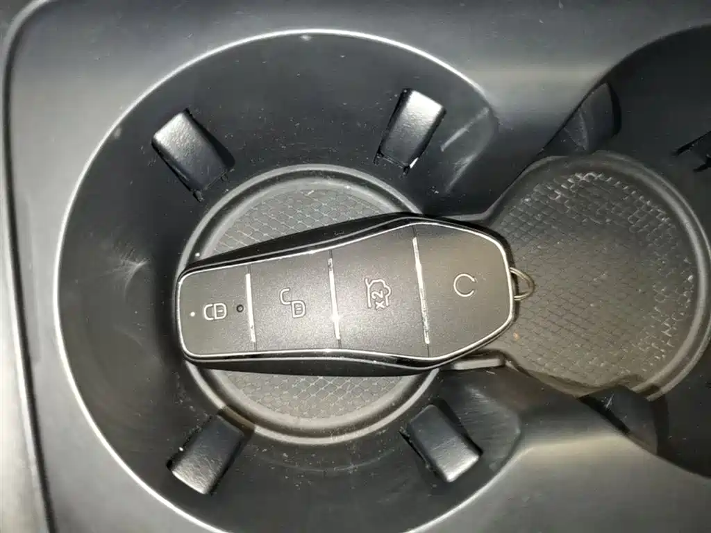 BYD Qin PLUS 2024 Glory Edition DM-i 55KM Leading фото 9
