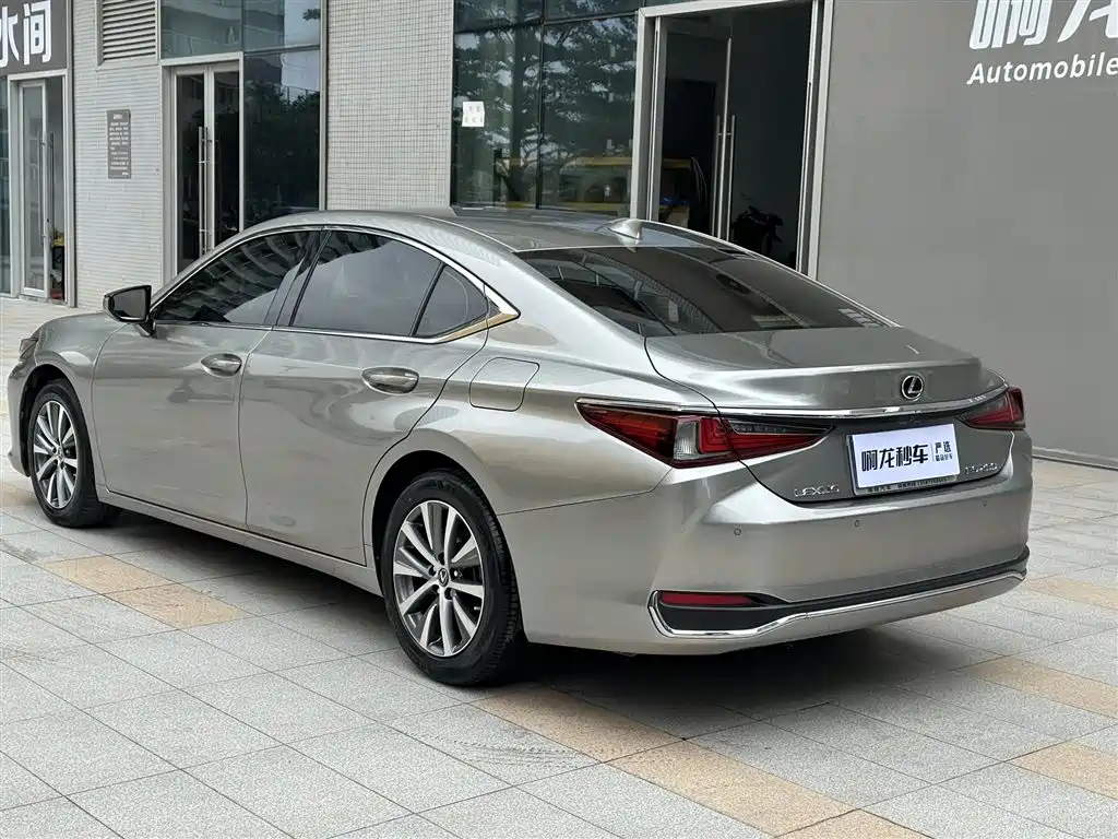 Lexus ES 2020 Model 260 Excellence Edition фото 13