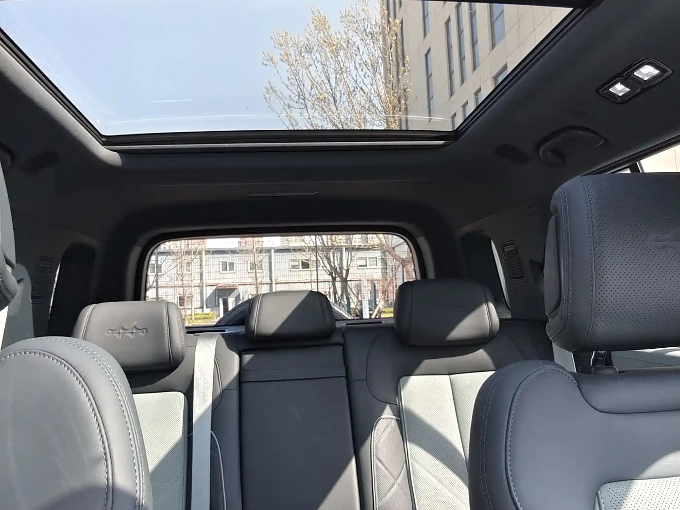 FANG CHENG BAO LEOPARD 5