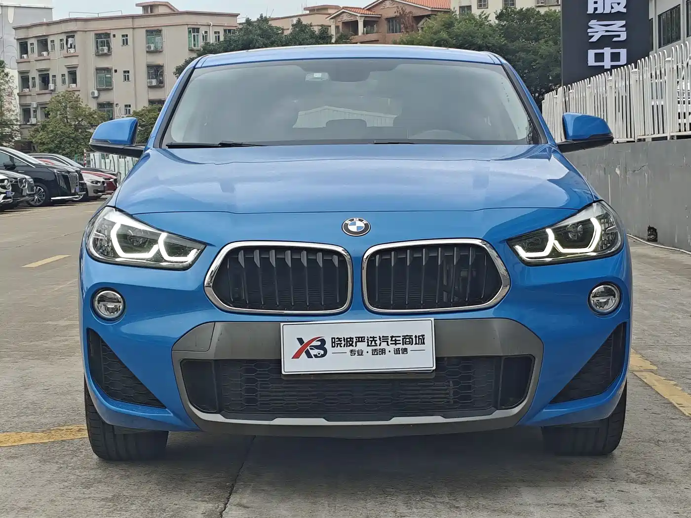 BMW X2 (Import) 2019 sDrive25i Leading M Off-Road Package China VI фото 2