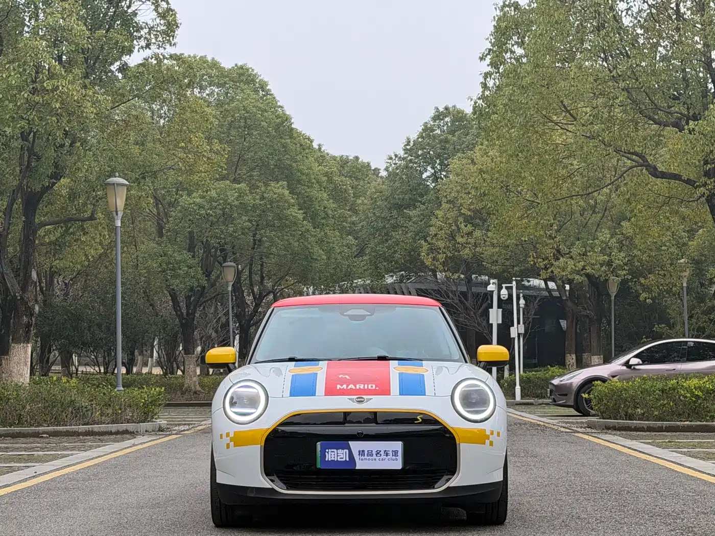 MINI ELECTRIC  COOPER