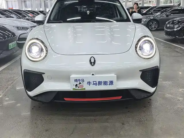  Ora Ora Good Cat GT 2023 Mulan Edition 401km Premium Model