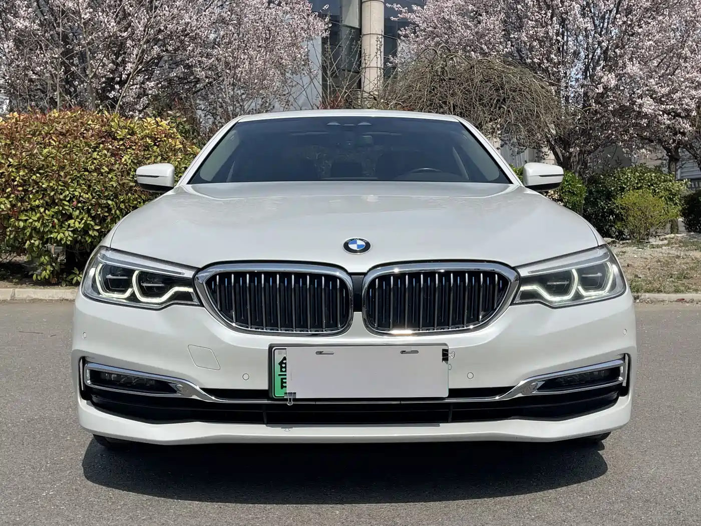 BMW 5 SERIES NEW ENERGY