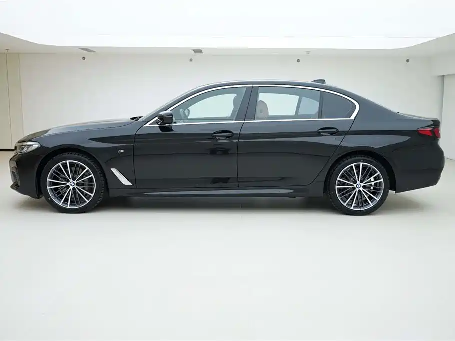 BMW 5 Series 2021 530Li xDrive M Sport Package фото 3