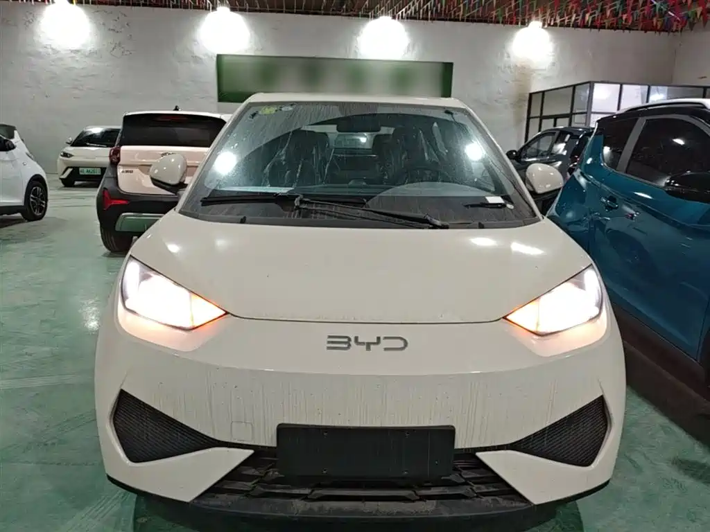 BYD Seagull 2025 Smart Drive Edition 305km Vitality Version фото 3