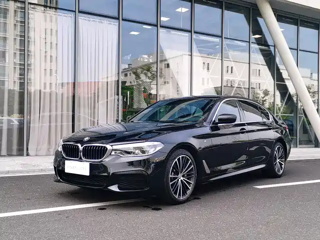BMW 5 Series 2020 530Li Leading M Sport Package