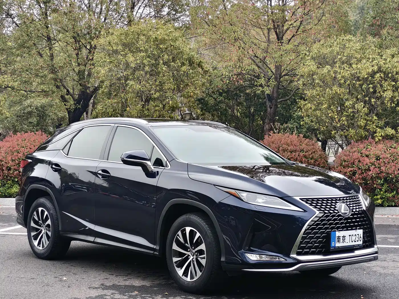 Lexus RX 2020 300 2WD Elite Edition China VI фото 27