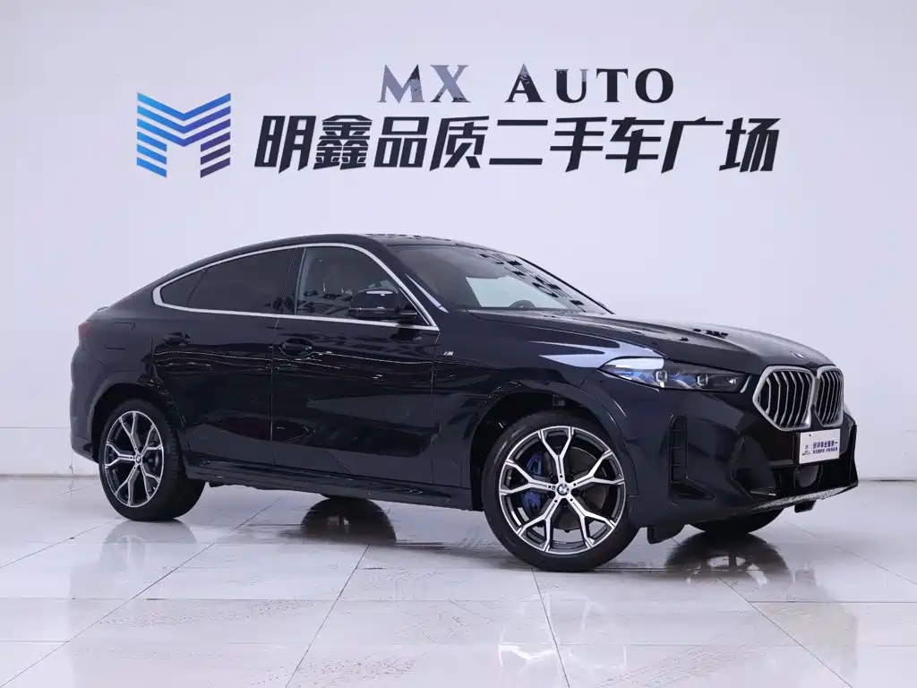 Photo 5 - BMW X6