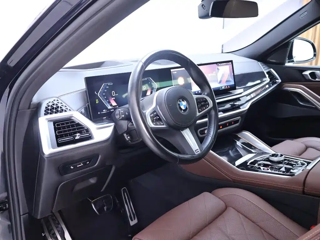 Photo 11 - BMW X6