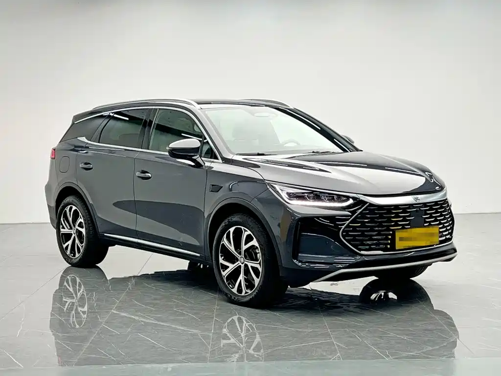 BYD Tang New Energy 2025 2025 Smart Driving Edition DM-i 115KM Flagship
