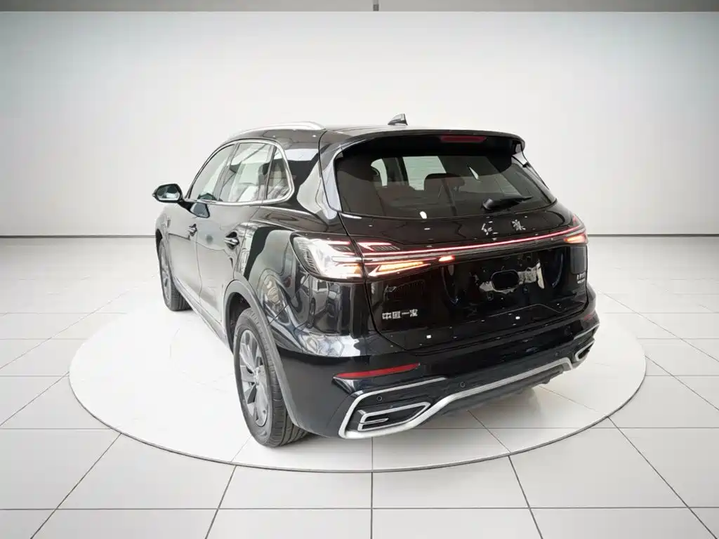 Hongqi HS5 2025 2025 2.0T 2WD Qixiang Pro