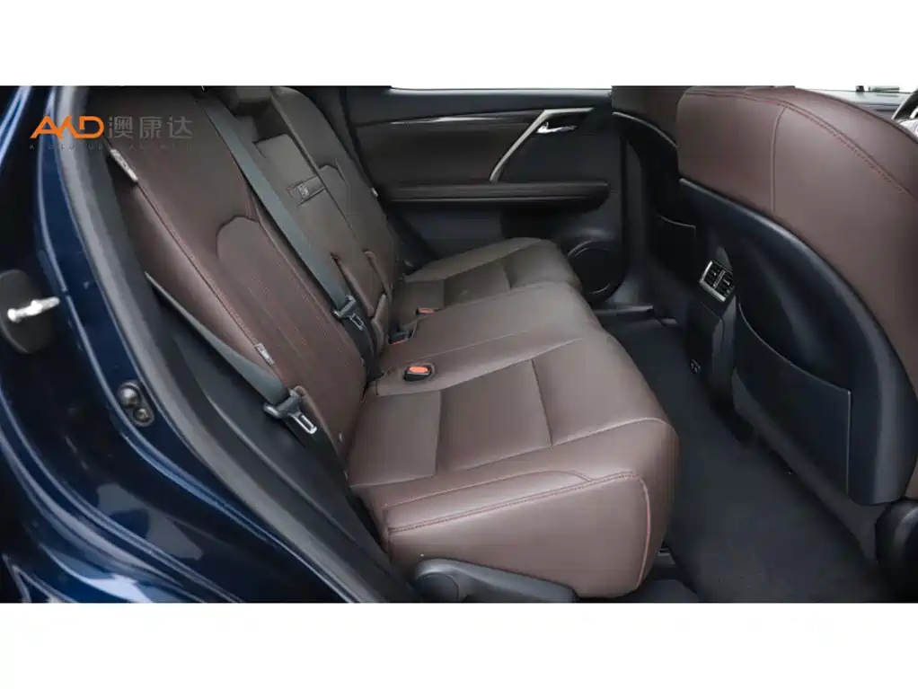 Lexus RX 2020 300 4WD Elegance Edition China VI фото 8