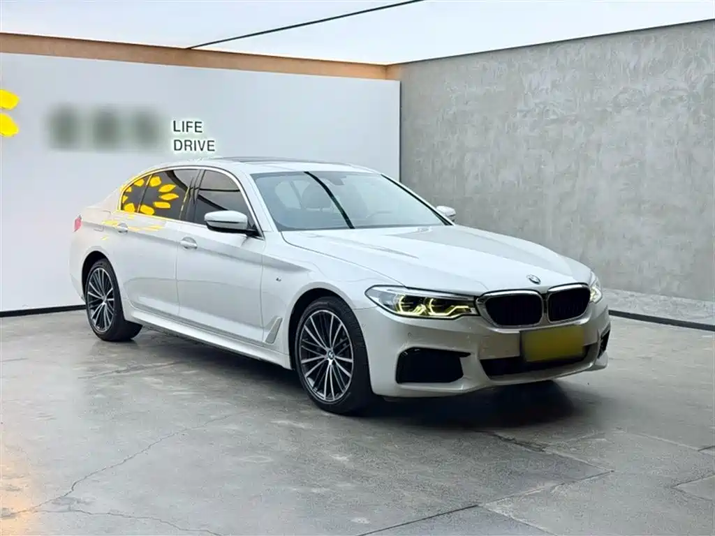 BMW 5 Series 2020 530Li Exclusive M Sport Package фото 4