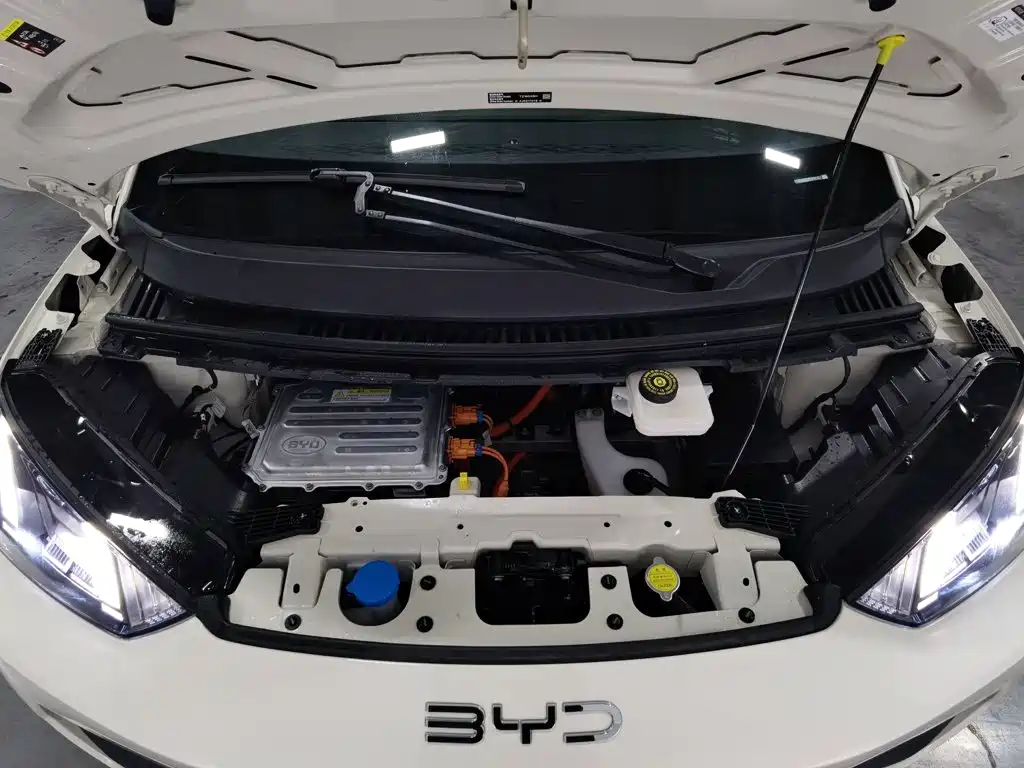 صورة 6 - BYD Seagull