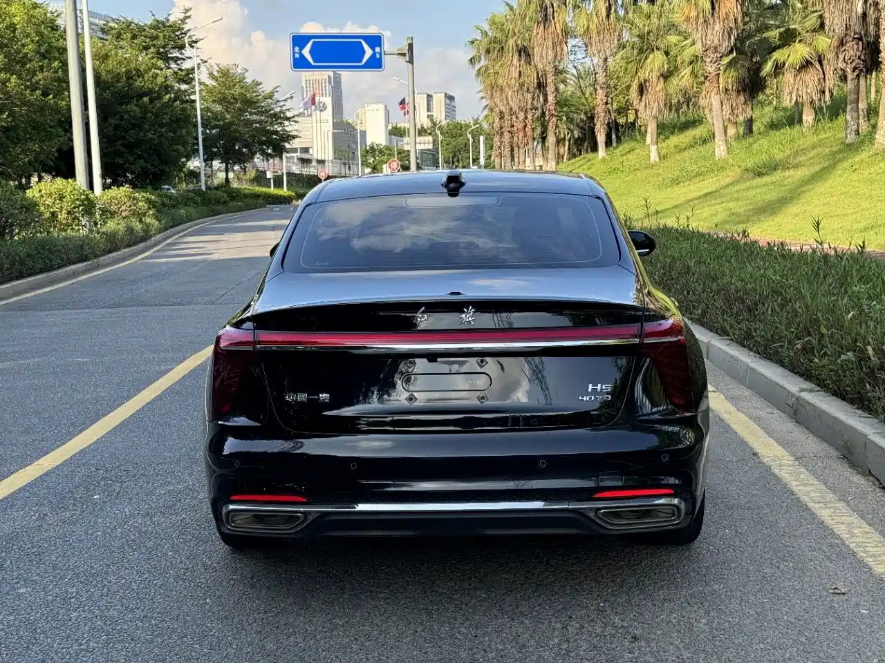صورة 13 - Hongqi H5