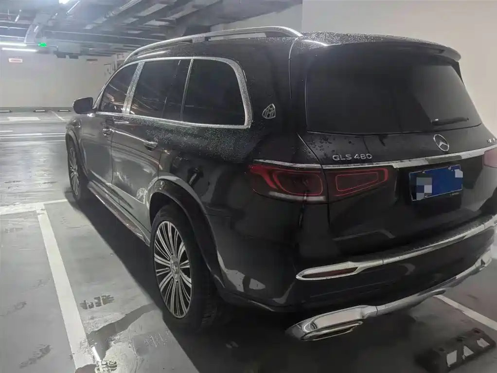 Mercedes-Benz Maybach GLS 2022 GLS 480 4MATIC фото 3