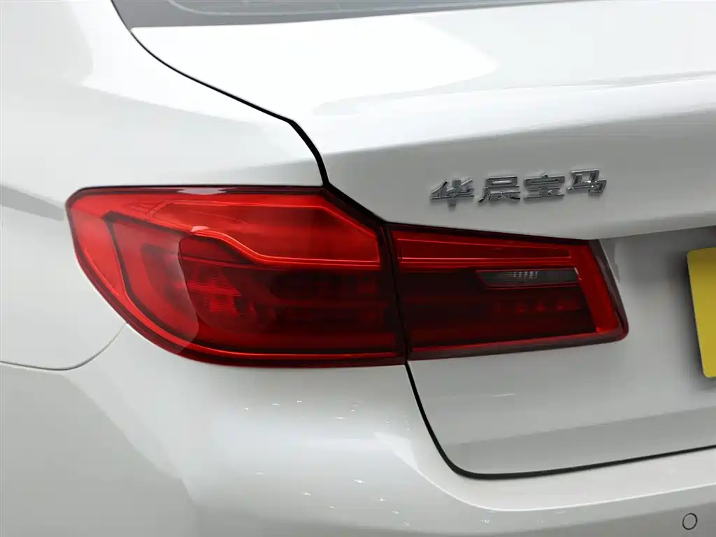 BMW 5 Series 2018 530Li Leading Luxury Package фото 7