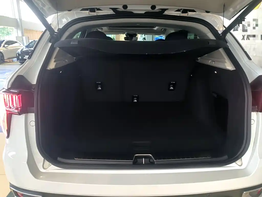 Lynk & Co 01 2018 2017 2.0T 2WD Pro Version