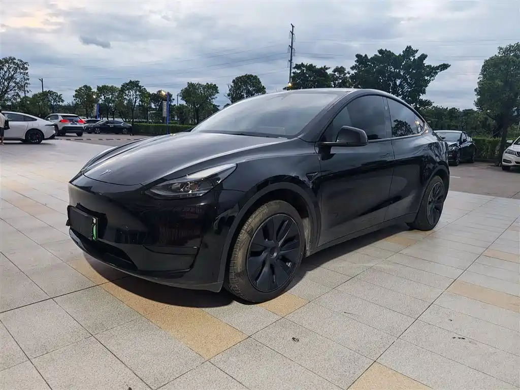 Фото 1 - Tesla Model Y