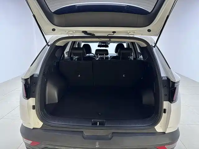 Hyundai Tucson 2021 Tucson L 1.5T DCT LUX Premium фото 15