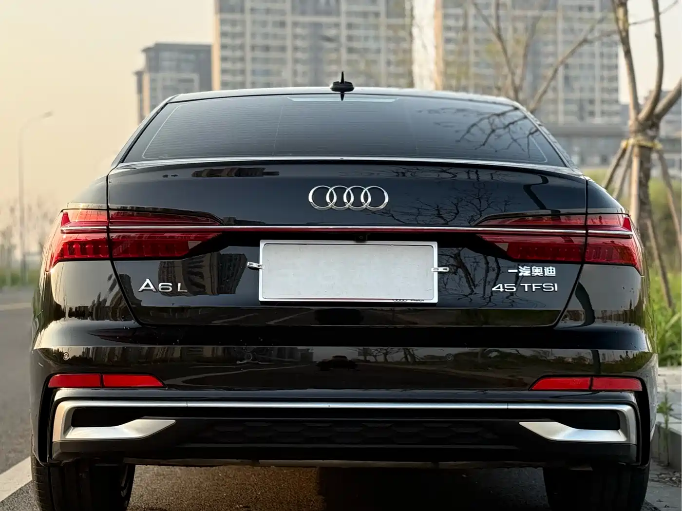 Audi A6L 2023 45 TFSI Premium Selection Dynamic фото 16