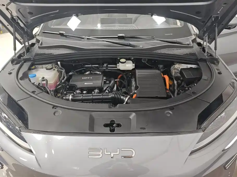 BYD SONGJIANG NEW ENERGY